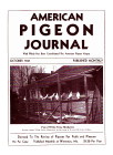 Magazine Cover